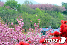 오색 찬란한 완산칠봉 꽃동산