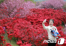 엄마 난 졸려요