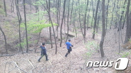 참다래와 편백 향 가득 ‘산성산 숲속나들이길’ 열렸다