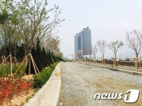 지저분했던 대전 경부고속철도변, 녹색 공간 변신