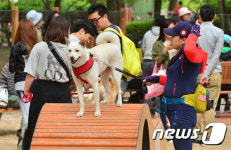 맘껏 놀 수 있는 반려견놀이터