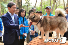 반려견에게 손 내미는 박원순 시장