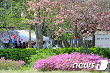 봄 날씨와 어우러진 허초희 문화제