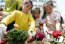 대형화분에 꽃과 동심을