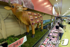 나날이 오르는 한우 가격