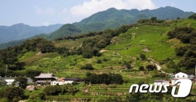 하동녹차 세계중요농업유산 등재 준비 착착