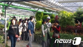 괴산군, ‘봄꽃 향기로의 초대’ 야생화전시회