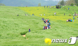 관광객 몰린 고창 학원농장