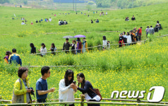 관광객으로 붐비는 고창 학원농장
