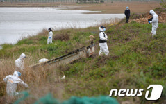 안산 하반신에 이어... 상반신 찾아