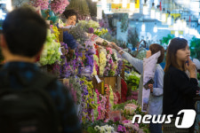 청솔꽃문화원 | '어떤 꽃이 좋을까?'