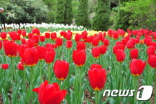 아내·연인과 봄여행 떠나기 좋은 코스 20곳, 어디?