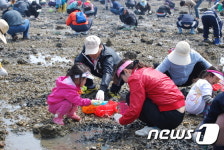 당진으로 바지락 캐러 오세요