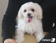 [뚱아저씨의 동행] 폐가에 버려진 개 은동이