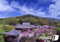 오감만족 서산 시티투어 ‘인기만점’