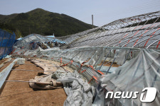 바람 폭탄 맞은 비닐하우스