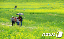 여기 저기 다 아릅답네