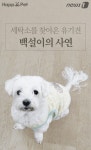 [펫카드] 세탁소를 찾아온 유기견 백설이의 사연