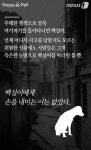 [펫카드] 세탁소를 찾아온 유기견 백설이의 사연