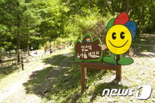 청송자연휴양림에 장난끼유아숲체험원 개장