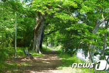 화순 연둔리 숲정, 나들이 코스 인기