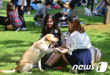 대학축제 반려견과 함께