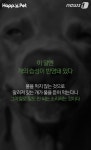 [펫카드] 개 풀 뜯어 먹는 소리?… “개도 풀 먹어요”