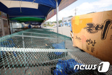 텅빈 영광 법성포 수산거리