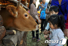 홍천군, ‘한우목장 체험’ 17일 개최