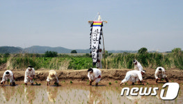 함안농요, 아이고 허리야