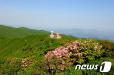 이곳이 소백산