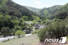 힐링의 숲을 찾아…관광공사 선정 6월의 가볼 만한 곳