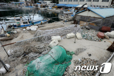 금진항 일대 어지러이 놓인 어구들