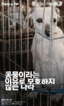 [펫카드] 동물이라는 이유로 보호하지 않는 나라