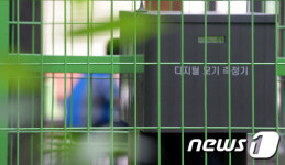 더워진 날씨 탓에 늘어난 모기들