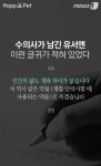 [펫카드] 유기견 안락사 트라우마로 목숨 끊은 수의사