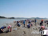 제6회 지곡 왕산포 서산갯마을축제 개최