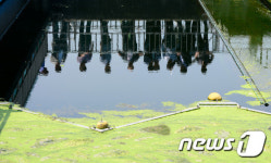 물재생센터 수질은?