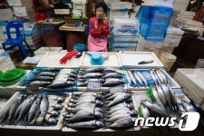 미세먼지 유발 고등어 값 하락에 한숨만