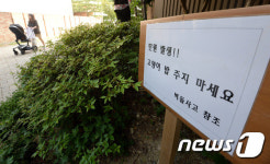 서초구 한 아파트 단지 고양이 밥 주지 마세요