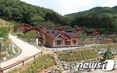 원시의 숲 데미산자연휴양림 성수기 인터넷 접수
