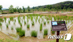 창녕군우포늪 생태체험장, 7월 1일 개장