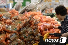 출하량 증가로 채솟값 급락