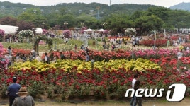 환상적인 장미 화원