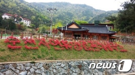 순천시, 음악과 함께 힐링을…휴가철 숲속 음악회 개최
