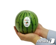 일반수박 1/4 크기…세븐일레븐, 애플수박 출시