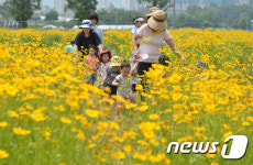 꽃밭에서 자라는 동심
