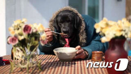 [펫스쿨] 5일장에서 입양한 산들이가 천재견?②