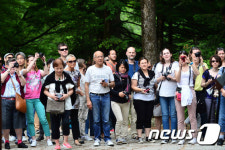평창 월정사에 간 프랑스 사람들