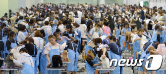 애견미용사들의 열띤 경쟁